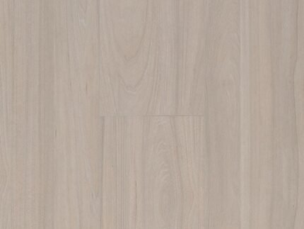 Elm Light