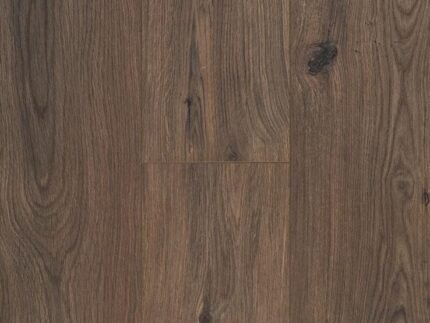 Gyant Dark Brown