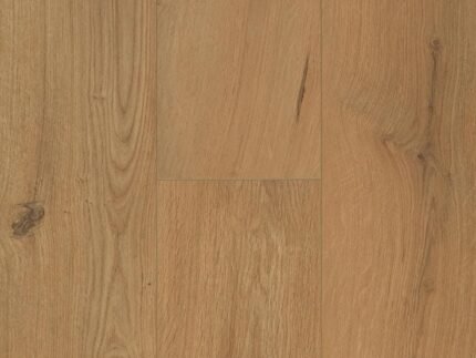 Gyant Warm Natural