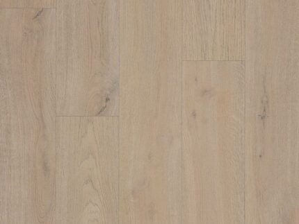 Barrel Oak