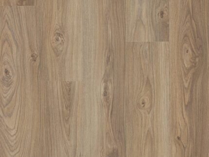 Canyon Light Oak